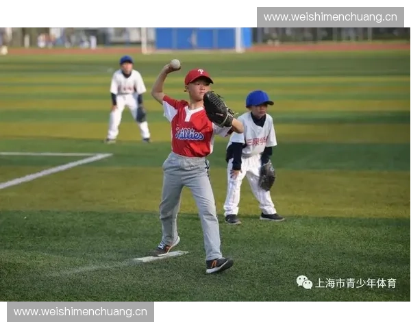 构建以体育培训体系为核心的青少年全面发展模式研究