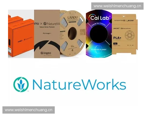 体育品牌授权创新策略与市场价值提升研究探索